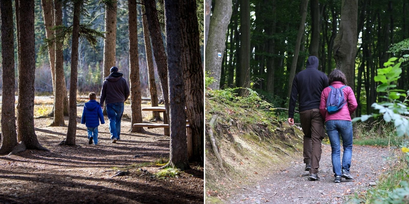 prévenir maladie lyme